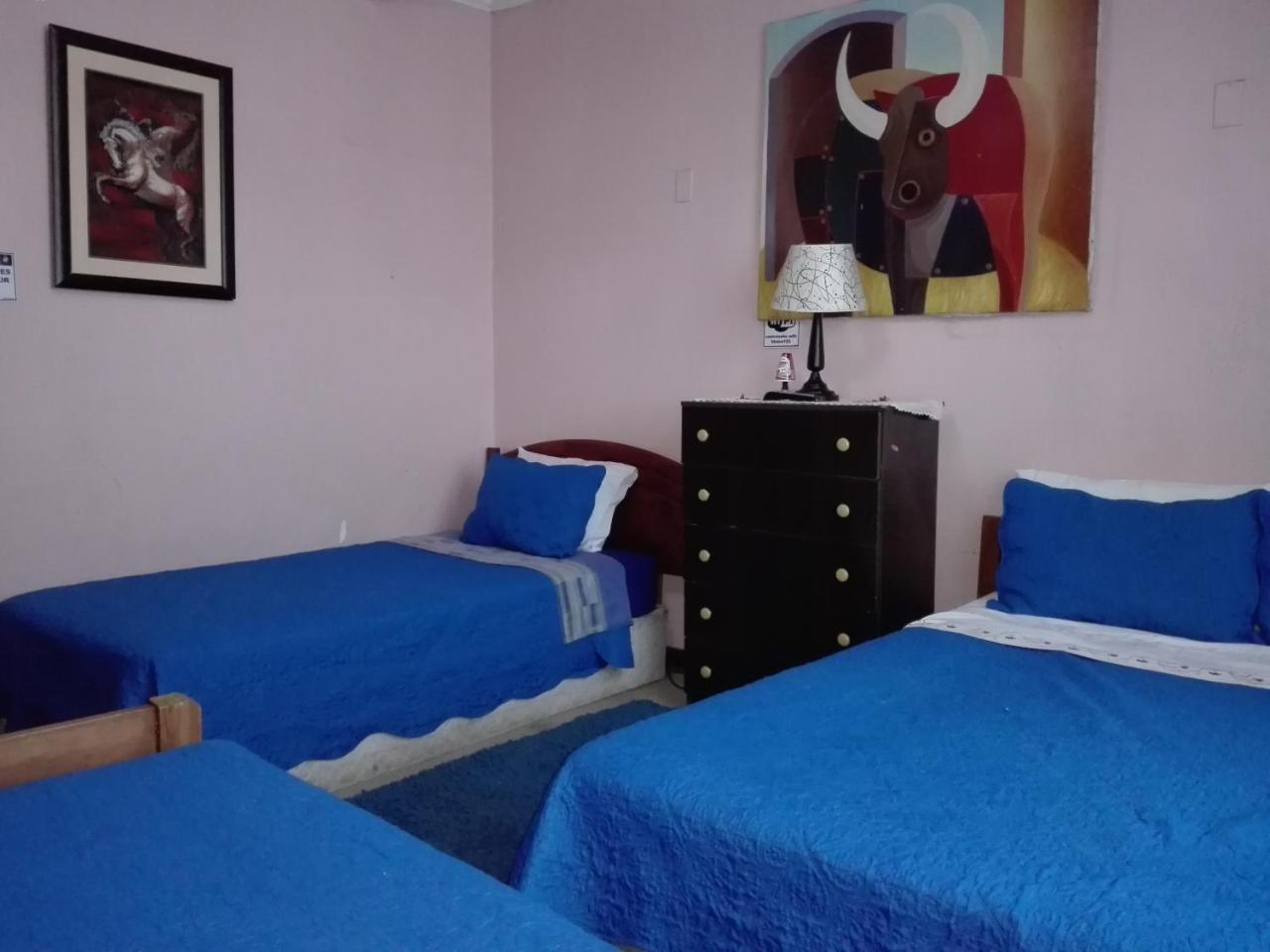 טלקה Hotel De Talca מראה חיצוני תמונה